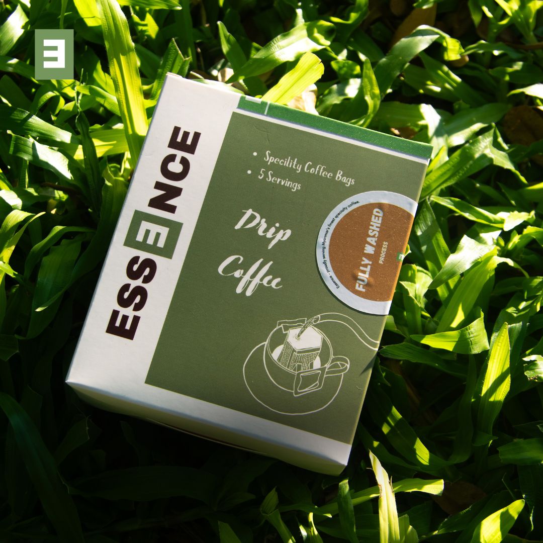 Essence Drip Coffee Box - Fully Washed